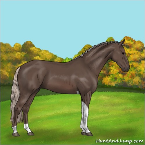 Horse Color:Silver Black Tobiano 