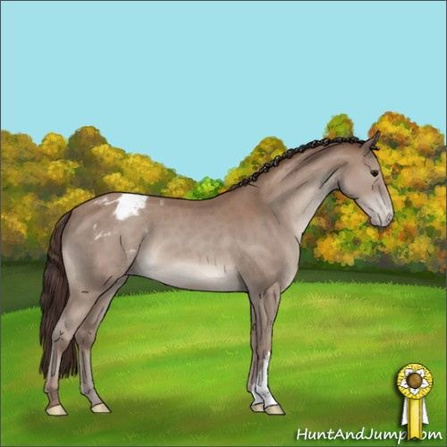 Horse Color:Classic Champagne Appaloosa 
