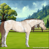 Horse Color:Amber Champagne Dun Sabino Tobiano Appaloosa  and Amber Champagne Dun Sabino Tobiano Appaloosa 