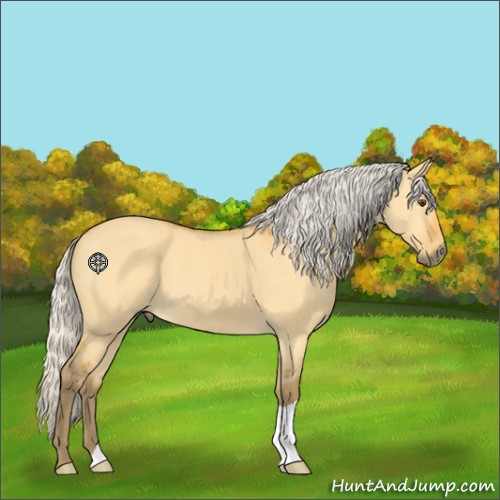 Horse Color:Silver Buckskin Dun 