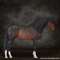 Horse Color:Brown Rabicano 