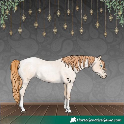 Horse Color:Buckskin Roan Pearl Sabino