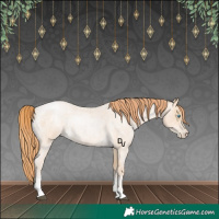 Horse Color:Buckskin Roan Pearl Sabino