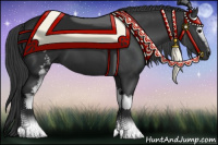 Horse Color:White Spotted Black 