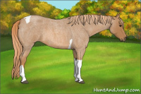 Horse Color:Red Roan Tobiano 