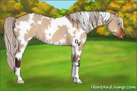 Horse Color:White Spotted Silver Brown Dun 