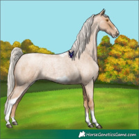 Horse Color:Silver Blue Roan Pearl Tobiano Frame 