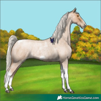 Horse Color:Silver Blue Roan Pearl Tobiano Frame 
