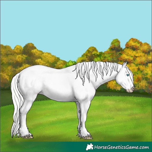 Horse Color:Cremello Dun 