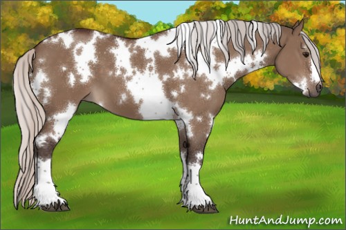 Horse Color:White Spotted Silver Brown Dun