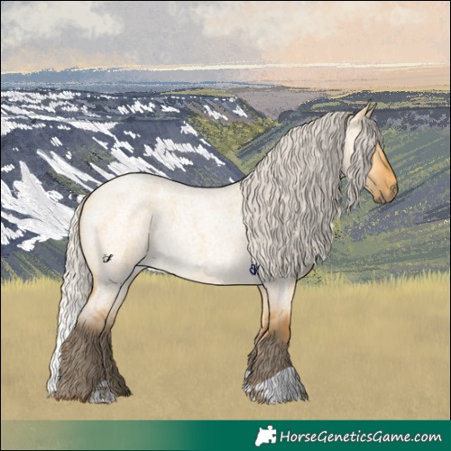 Horse Color:Silver Buckskin Roan Dun 