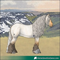 Horse Color:Silver Buckskin Roan Dun 