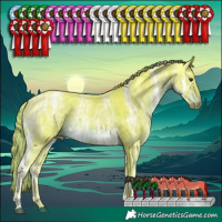 Horse Color:Watercolor White Spotted Liver Chestnut Ice Tobiano Rabicano