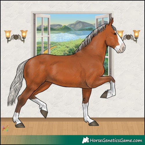 Horse Color:Silver Bay Splash