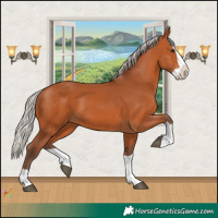 Horse Color:Silver Bay Splash 