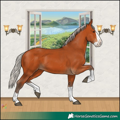 Horse Color:Silver Bay Splash