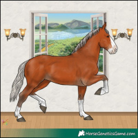 Horse Color:Silver Bay Splash 
