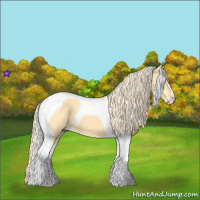 Horse Color:Palomino Dun Tobiano 