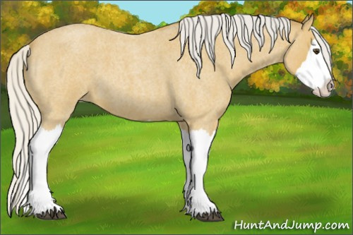 Horse Color:Silver Buckskin Roan Splash 