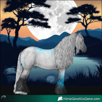 Horse Color:Silver Grullo Chinchilla Roan 
