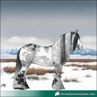 Horse Color:Brown Chinchilla Dun Splash Tobiano 