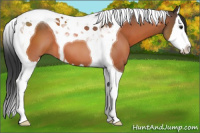 Horse Color:Brown Splash Tobiano 