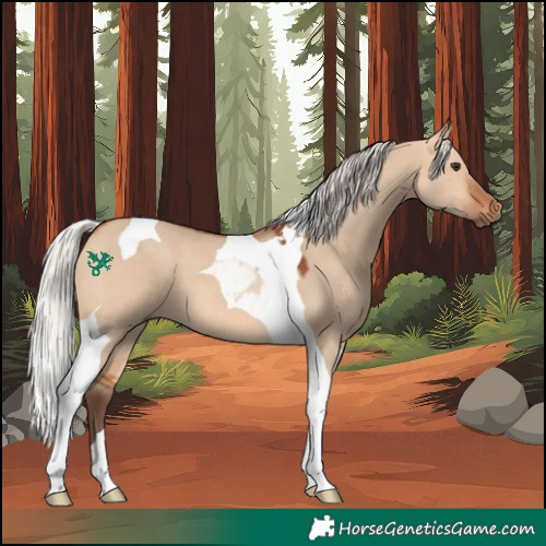 Horse Color:Silver Bay Dun Tobiano 