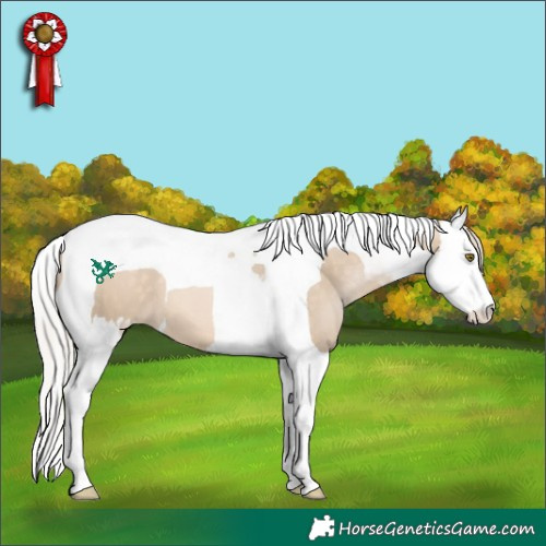 Horse Color:Silver Brown Pearl Dun Splash Tobiano 