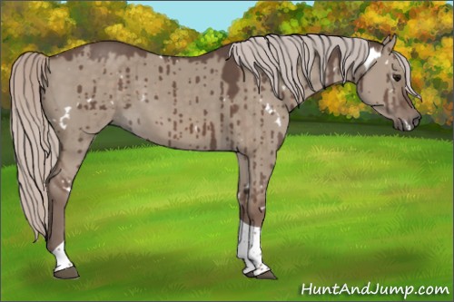 Horse Color:White Spotted Silver Grullo Tobiano Brindle