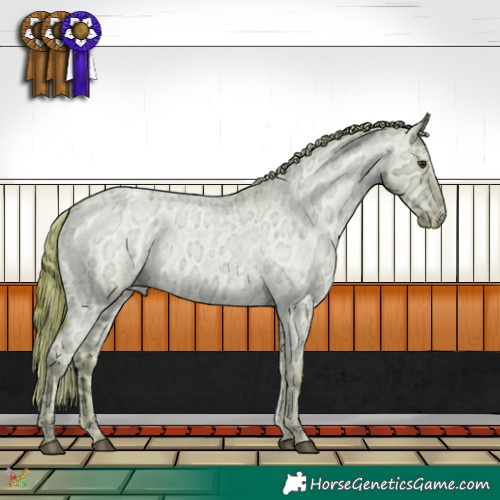 Horse Color:Watercolor Red Dun Ice Roan Appaloosa 