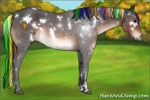 Horse Color:Painted White Spotted Brown