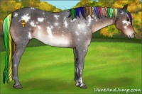 Horse Color:Painted White Spotted Brown 