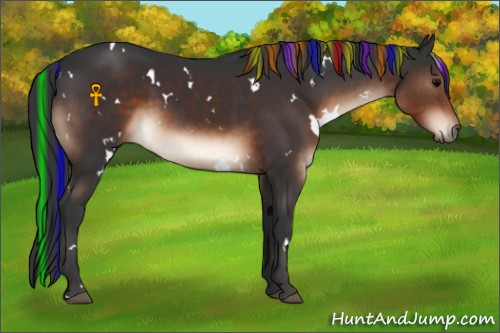 Horse Color:Painted White Spotted Brown 
