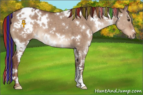 Horse Color:Painted White Spotted Liver Red Dun 