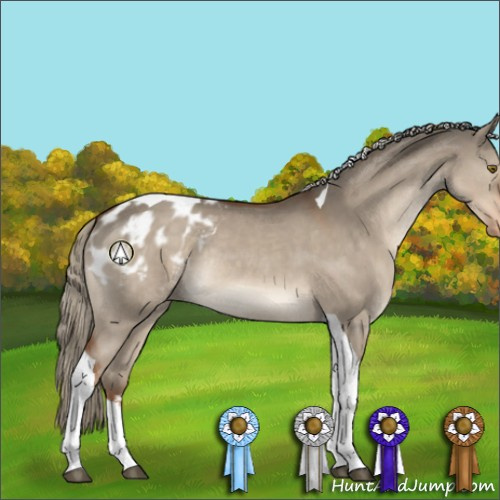 Horse Color:Liver Red Dun Sabino Tobiano Appaloosa Rabicano 