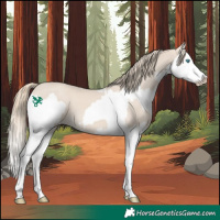 Horse Color:Smoky Creme Splash and Smoky Creme Splash Rabicano