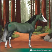 Horse Color:Smoky Grullo Splash Rabicano 