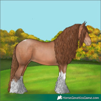 Horse Color:White Spotted Brown Pearl Tobiano