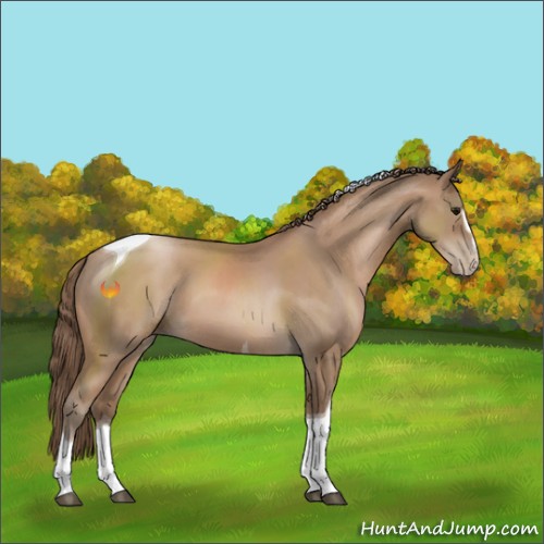 Horse Color:Black Pearl Sabino Tobiano 