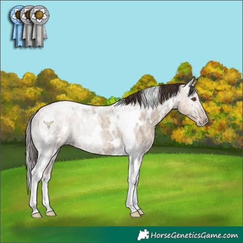 Horse Color:White Spotted Classic Champagne Ice Dun Tobiano Rabicano 