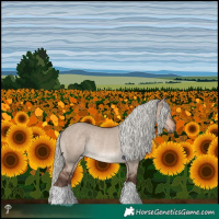 Horse Color:Liver Red Dun Mushroom Rabicano 