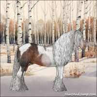 Horse Color:Liver Chestnut Mushroom Tobiano