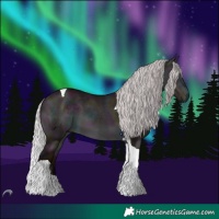 Horse Color:Midnight Chocolate Silver Brown Chinchilla Dun Tobiano 