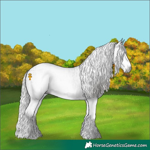 Horse Color:Gray White Spotted Black  and Gray White Spotted Silver Black 