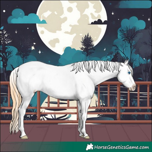 Horse Color:White Spotted Buckskin Pearl Dun Sabino Splash Near Leopard 