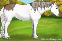 Horse Color:Silver Brown Dun Sabino Splash 