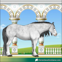 Horse Color:White Spotted Blue Roan Rabicano  and White Spotted Blue Roan Splash Rabicano 