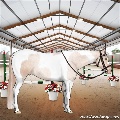 Horse Color:Gold Champagne Tobiano Appaloosa 