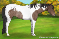 Horse Color:Brown Tobiano Varnish Rabicano 