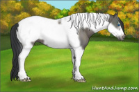 Horse Color:Grullo Tobiano Frame